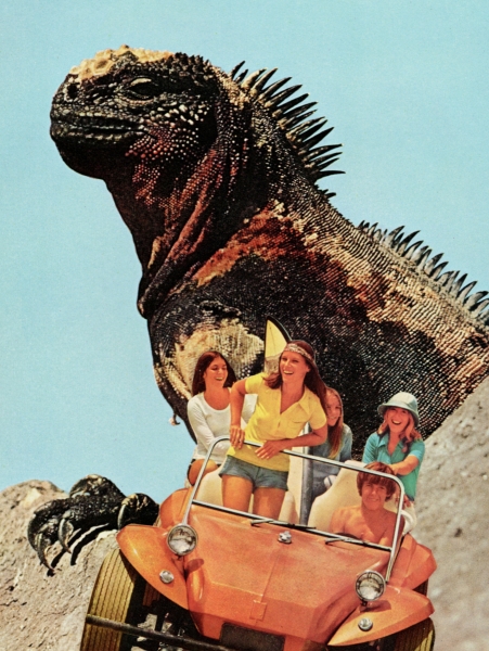 Iguana Beach Weekend