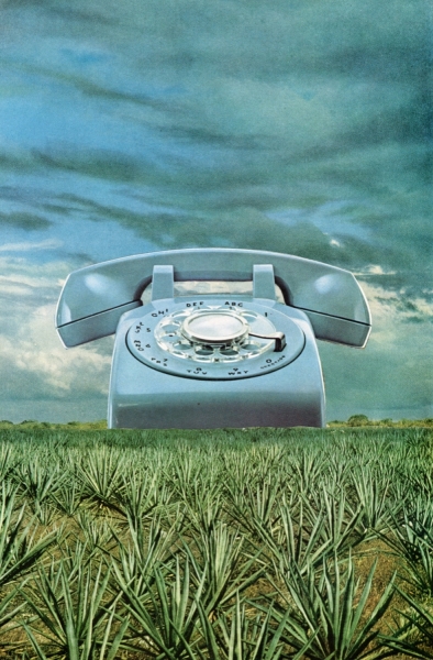 telephone-webv
